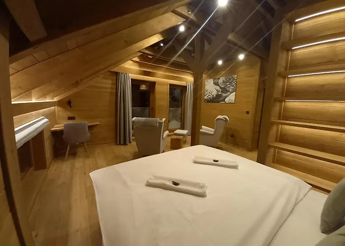 招待所 Dvorakova Bouda *