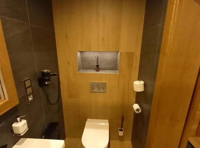 Dvorakova Bouda * Špindlerŭv Mlýn