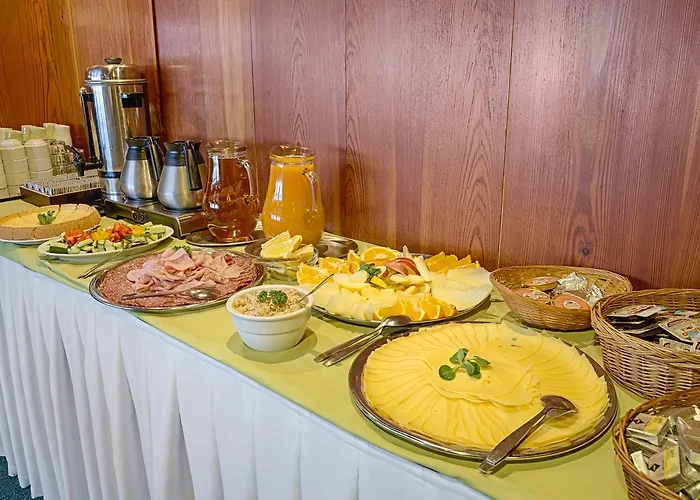 Dvorakova Bouda بيت ضيافة *